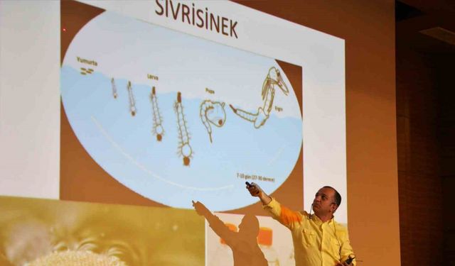 Antalya’da "sineksiz yaz" için ekipler hem sahada hem eğitimde