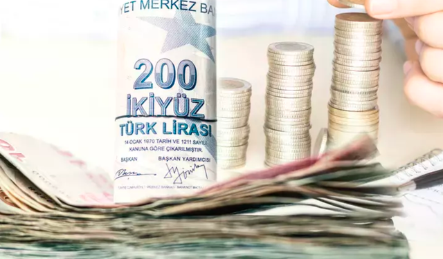 Aile Destek Programı Aralık 2024 Ödemeleri: Ne Zaman Yatacak, 2025'te Devam Edecek Mi?