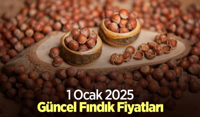 Fındıkta Yeni Yılın Rakamları: 2025’in İlk Gününde Güncel Fiyatlar Açıklandı!