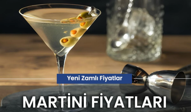 Migros ve Duty Free Martini Fiyatları 2025