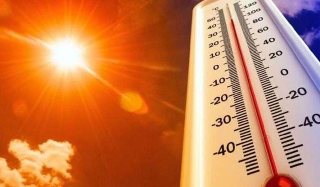 Türkiye kavruluyor: Kurtalan'da sıcaklık 46,9 dereceye çıktı
