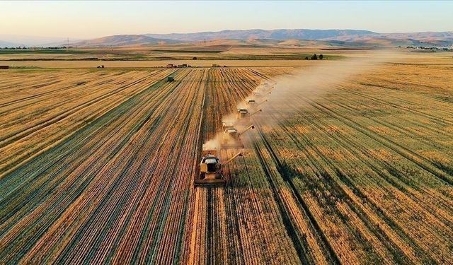 Tarımda Dev Hamle: 18,5 Milyar TL ve 1 Milyar Dolar Destek!