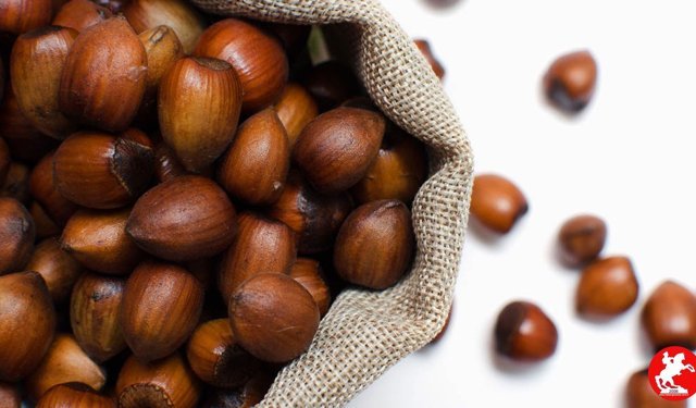 13 Nisan 2026 Fındık Fiyatları: Karadeniz Bölgesi’nde Haftanın İlk Verileri Netleşti