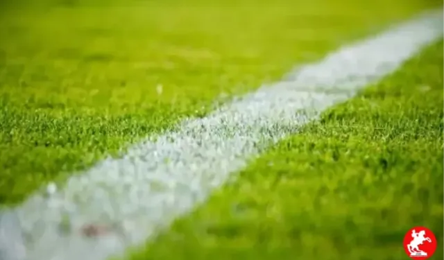 Beşiktaş, Adana Demirspor'u İstanbul'da Avladı