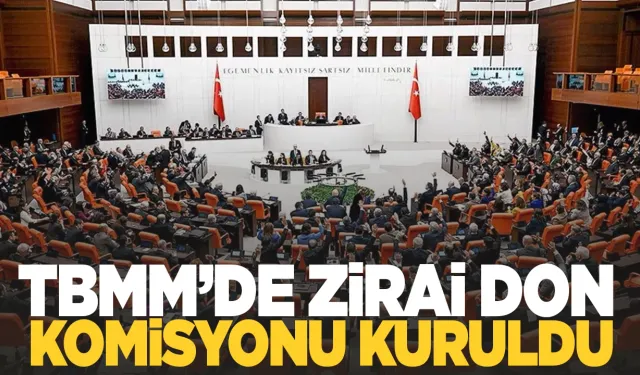 Meclis'te zirai don komisyonu kuruldu