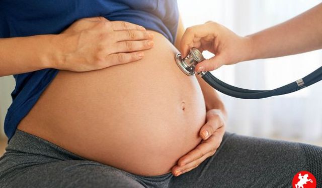 Geblikte 3 trimester hangi hafta başlar?