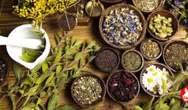 Alternatif Tıp Nedir?