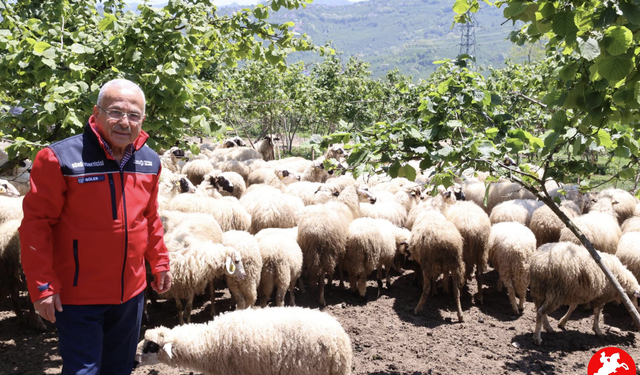 BAŞKAN GÜLER: “DAĞITIMINI YAPTIĞIMIZ HAYVANLARI KENDİMİZ YETİŞTİRİYORUZ”