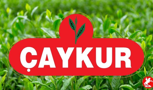 ÇAYKUR 1500 Mevsimlik İşçi Alımı Yapacak! Başvurular Başladı