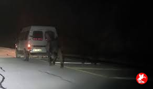 Sivas'ta şok görüntü: Atları araca bağlayarak koşturdu