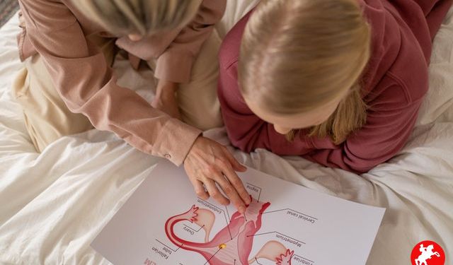 İzmir Genital Bölge (Vajina Dış Dudak Sarkması  Daraltma Ameliyatı) Fiyatı 2025