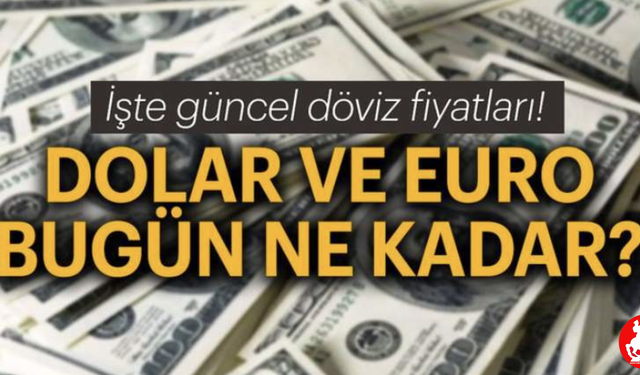 💰 Samsun'da Dövizde Bekleyiş Sürüyor! Dolar ve Euro Güne Hangi Seviyede Başladı?