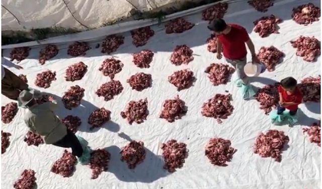 Yüksekova’da Kurban Paylaşımı: Tüm Köy Halkına Eşit Dağıtım