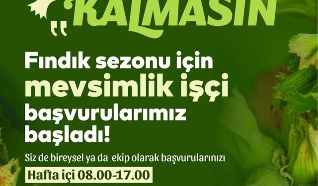 FINDIK DALDA, AKLIN İŞÇİDE KALMASIN” BAŞVURULAR BAŞLADI