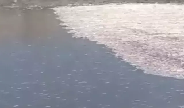 Hatay'da Su Seviyesi Düşerken Balıklar Ölümle Yüzleşiyor!