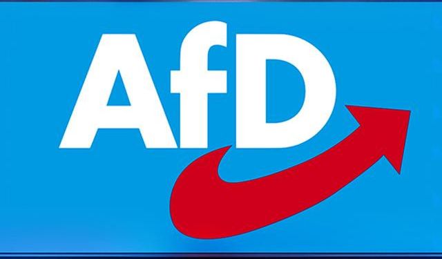 Almanya'da Aşırı Sağcı AFD Partisini Yakından Tanıyalım