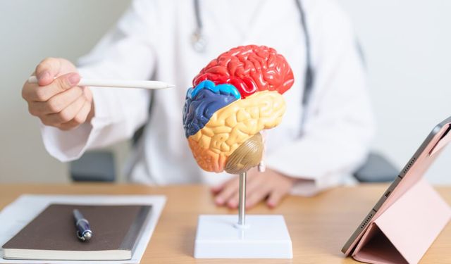 Alzheimer ve Demansın Erken Belirtisi Ortaya Çıktı: Koku Kaybı Şaşırtan Bir İpucu Veriyor!