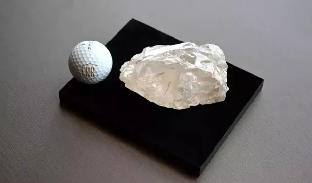 Dünyanın En Büyük İkinci Elması Rekor Fiyatla Satışta!