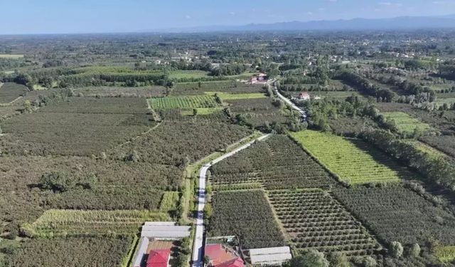 Terme’de Yüzyıllık Hasret Bitti: Bafracalı Mahalle Asfaltla Tanıştı