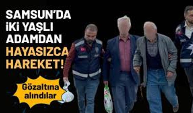 Samsun'da Parkta Uygunsuz Davranış Şüphesi: Yaşlı İki Kişi Gözaltına Alındı