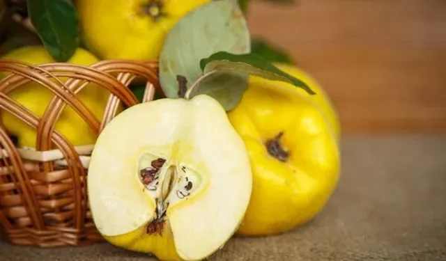 Ayva Çekirdeğinin Faydaları Nedir? Cilt İçin Jel Kullanımı