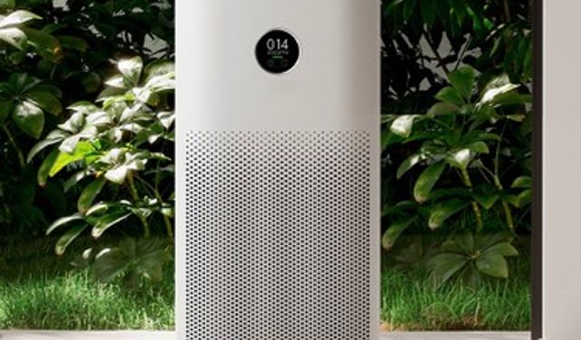 Dyson Hava Temizleyici Sigara Dumanını Çeker Mi?