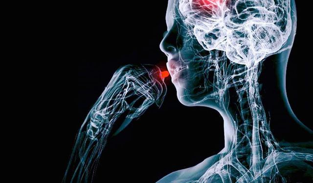 Plasebo Etkisi Nedir? Plasebo Etkisi Hakkında Bilmeniz Gerekenler