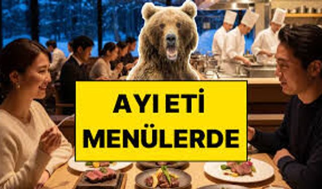 “Yok Artık!” Dedirten Gelişme: Japonya’da Ayı Eti Sofralara Girdi