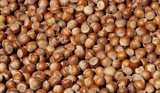 22 Ocak 2026 Perşembe Güncel Fındık Fiyatları Listesi: İl ve İlçe Bazlı Tam Liste