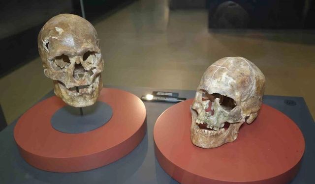 Samsun Müzesi Dolu Dolu - 5 Bin Yıllık Kafatası ve Hazineler İlgi Odağı Oldu