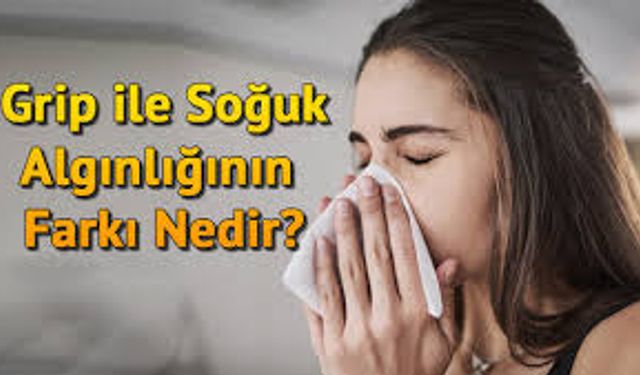 Grip ile Soğuk Algınlığı Arasındaki Fark Nedir? Belirtiler Neden Karıştırılıyor?