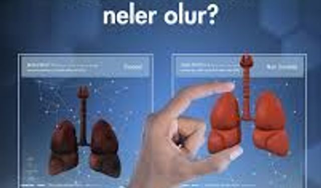 Sigara Bırakınca Vücutta Neler Değişir? Gün Gün Etkiler