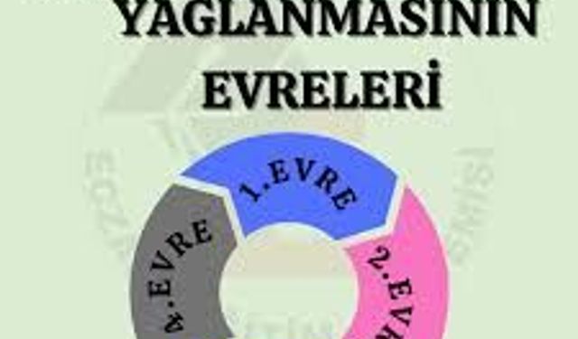 Karaciğer Yağlanmasında Hangi Evre Neyi İfade Ediyor?