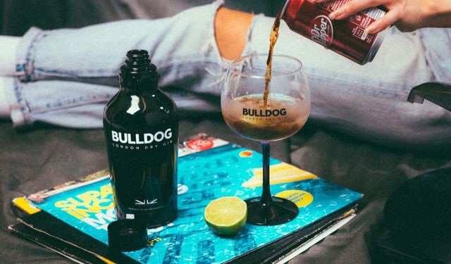 Bulldog Gin Fiyatı: 2026 Güncel Liste ve Tüm Çeşitler
