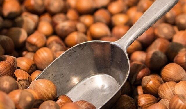 Güncel Fındık Fiyatları İl İl Açıklandı: Giresun, Ordu ve Samsun’da Fiyat İstikrarı Sürüyor