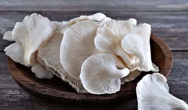 Samsun’da Sessizce Büyüyen Üretim - Çarşamba’daki O Şey Herkesi Şaşırttı