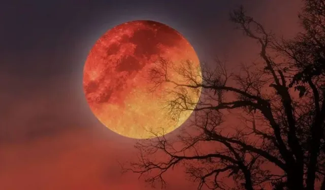 2026 Mart Kanlı Ay Tutulması Canlı İzle: Ne Zaman ve Saat Kaçta Başlayacak?