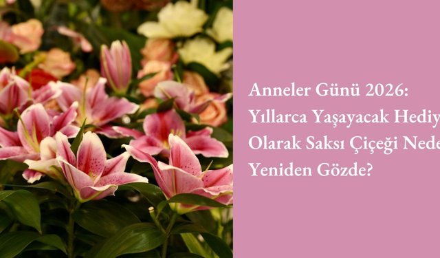 Anneler Günü 2026: Yıllarca Yaşayacak Hediye Olarak Saksı Çiçeği Neden Yeniden Gözde?