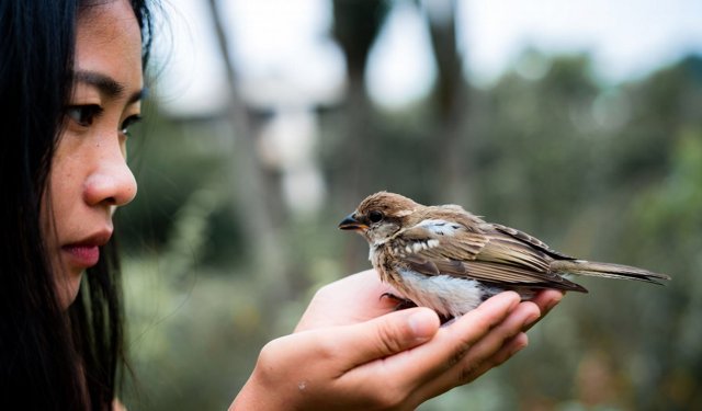 Merhametli Bir İnsan Olduğunuzu Gösteren 3 İşaret