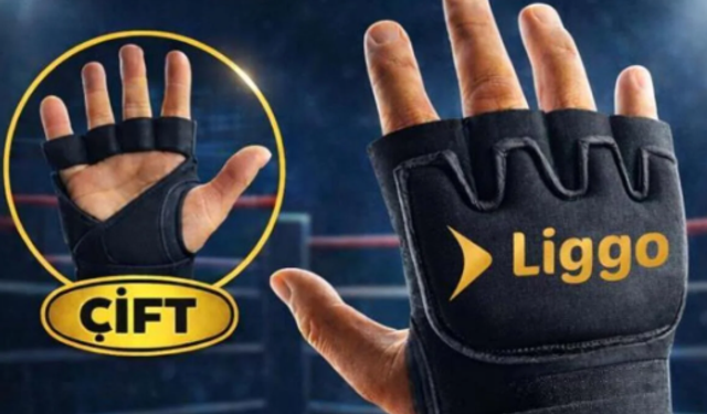 En Uygun Fiyatlı MMA Dövüş Eldiveni Fiyatları