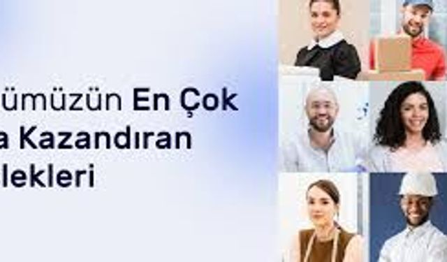 Türkiye’de En Çok Kazandıran 10 Meslek