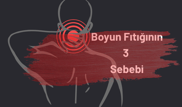 Boyun Fıtığının 3 Sebebi