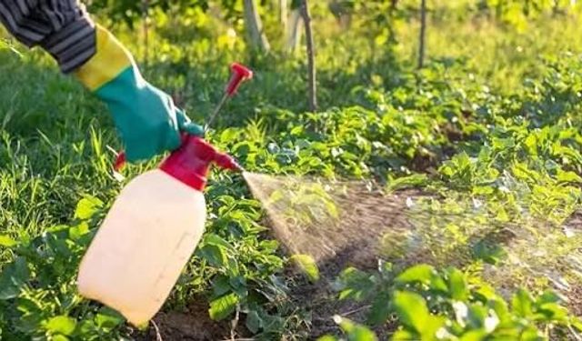 Günümüz Çağının En Büyük Tehlikesi: Pestisit’ten Kendimizi Nasıl Koruruz?