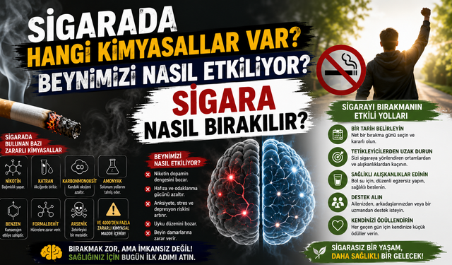 Sigarada Hangi Kimyasallar Var? Beynimizi Nasıl Etkiliyor? Sigara Nasıl Bırakılır?