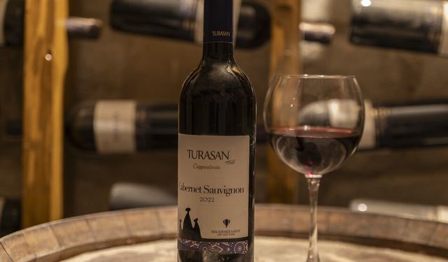 Cabernet Sauvignon Şarap Fiyat: 2026'da Hangi Marka Kaç TL?