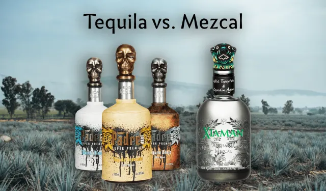 Mezcal Fiyatları 2026: Casamigos, Del Maguey ve Kurtlu Mezcal Kaç TL?