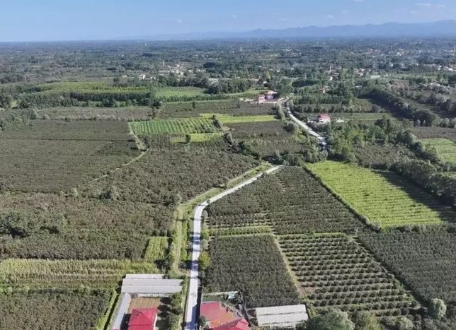 Terme’de Yüzyıllık Hasret Bitti: Bafracalı Mahalle Asfaltla Tanıştı