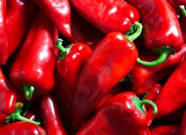 Bafra Ovası’nda Sessiz Bir Hareketlilik: Tarlalarda Ne Oluyor?