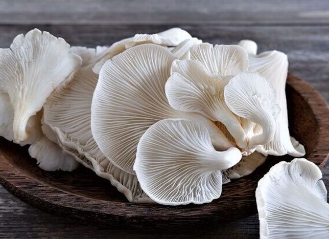 Samsun’da Sessizce Büyüyen Üretim - Çarşamba’daki O Şey Herkesi Şaşırttı