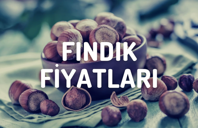 Fındık Piyasasında Son Durum: Türkiye Genelinde En Güncel Fiyatlar!